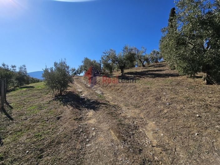 Image No.12-Property for sale