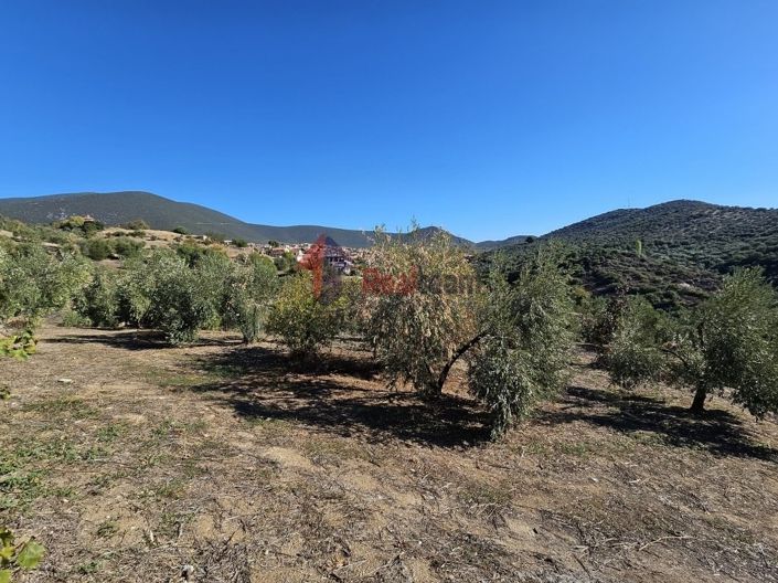 Image No.14-Property for sale