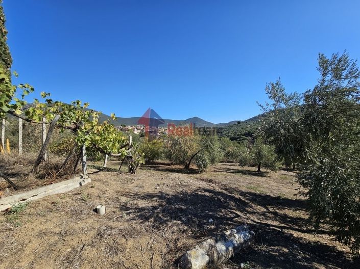 Image No.15-Property for sale