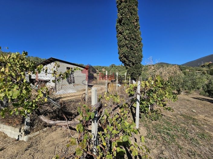 Image No.18-Property for sale