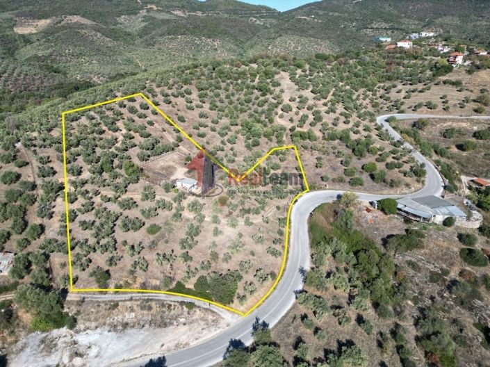 Image No.2-Property for sale