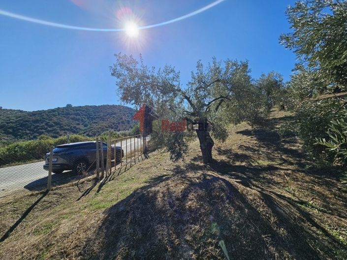 Image No.21-Property for sale