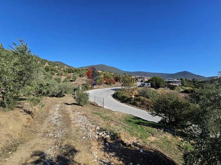 Image No.22-Property for sale