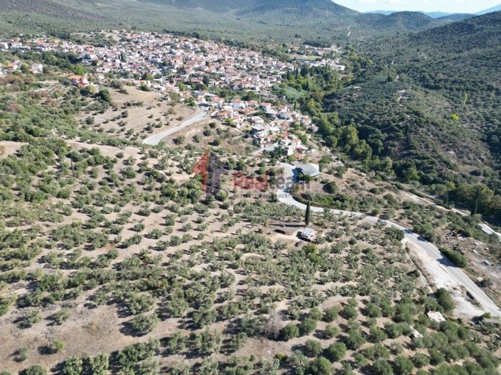 Image No.23-Property for sale