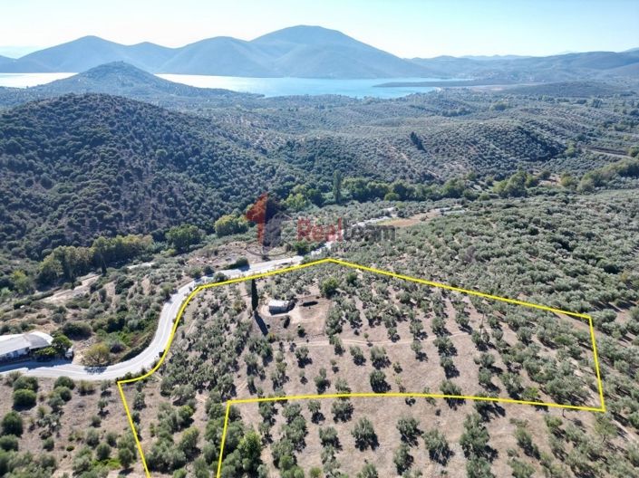 Image No.4-Property for sale