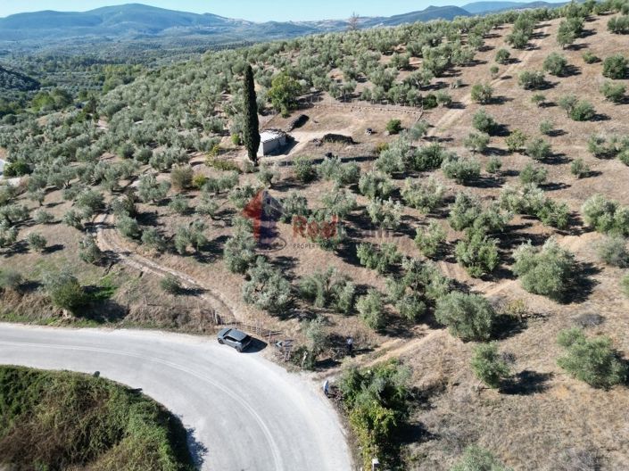 Image No.6-Property for sale