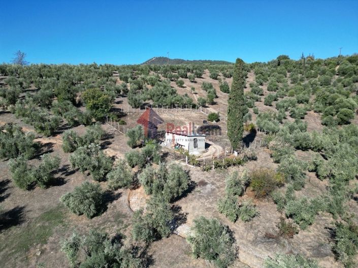 Image No.7-Property for sale