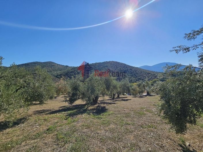 Image No.8-Property for sale