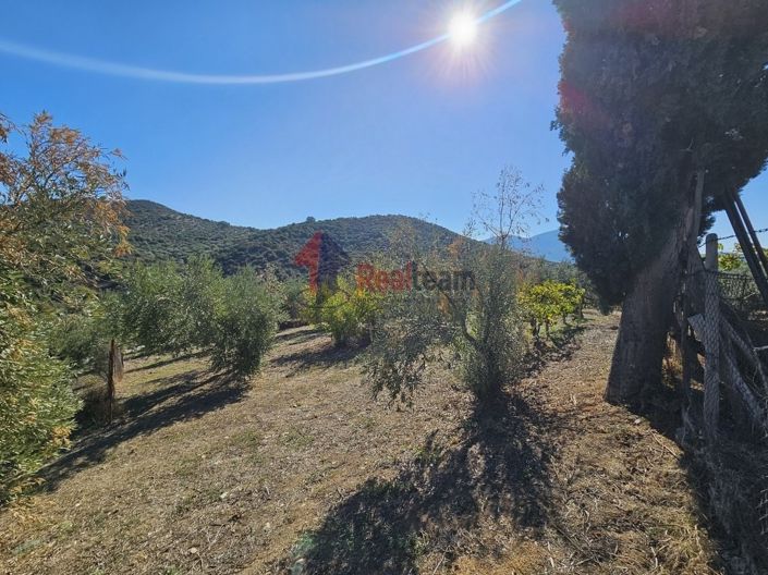 Image No.9-Property for sale