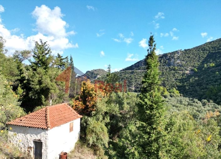 Image No.10-Property for sale