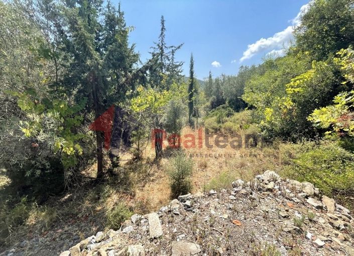 Image No.17-Property for sale