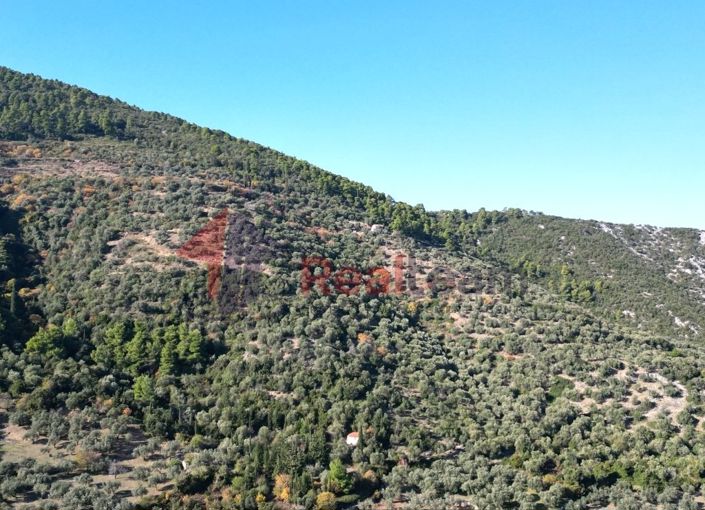 Image No.5-Property for sale