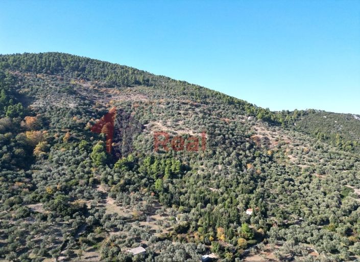 Image No.6-Property for sale