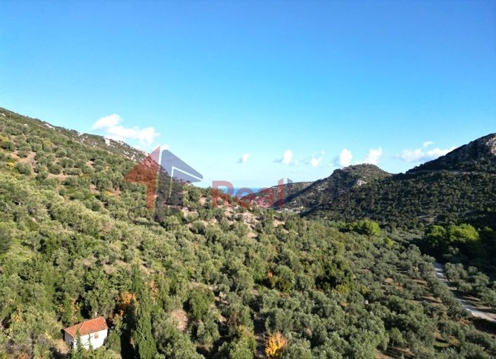 Image No.7-Property for sale