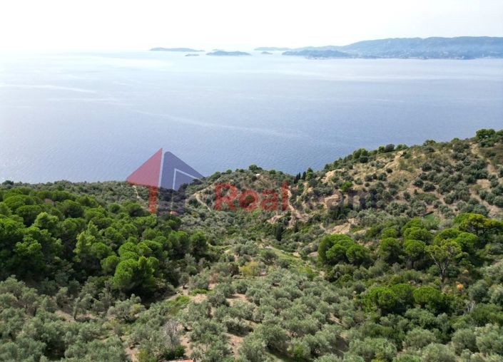 Image No.10-Propriété à vendre à Glossa