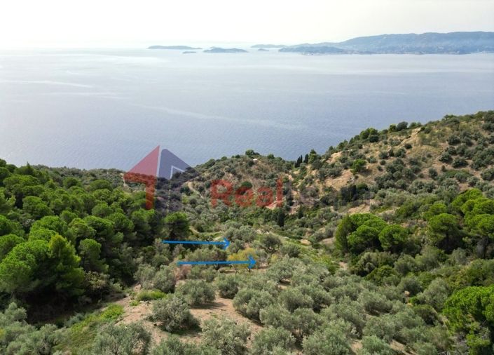 Image No.11-Propriété à vendre à Glossa