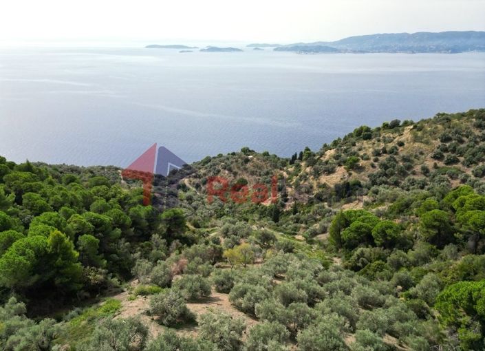 Image No.12-Propriété à vendre à Glossa