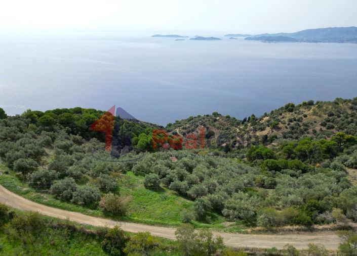 Image No.13-Propriété à vendre à Glossa