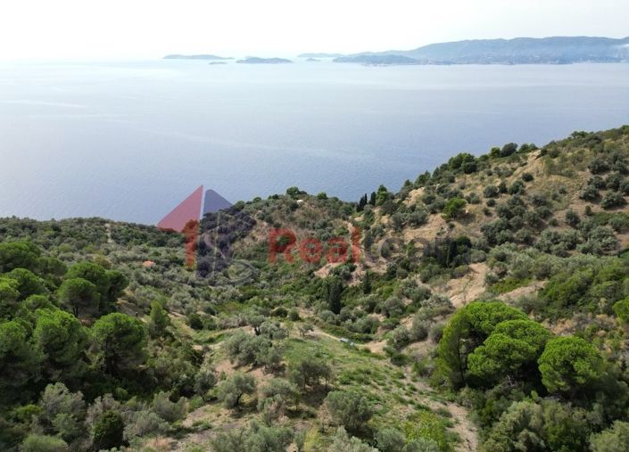 Image No.14-Propriété à vendre à Glossa