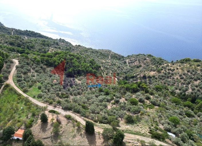 Image No.2-Propriété à vendre à Glossa