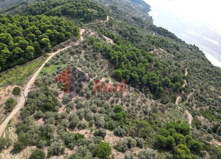 Image No.3-Propriété à vendre à Glossa