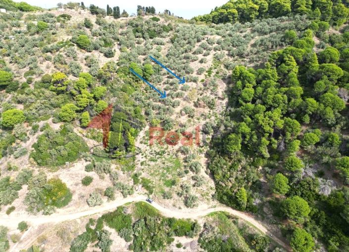 Image No.4-Propriété à vendre à Glossa