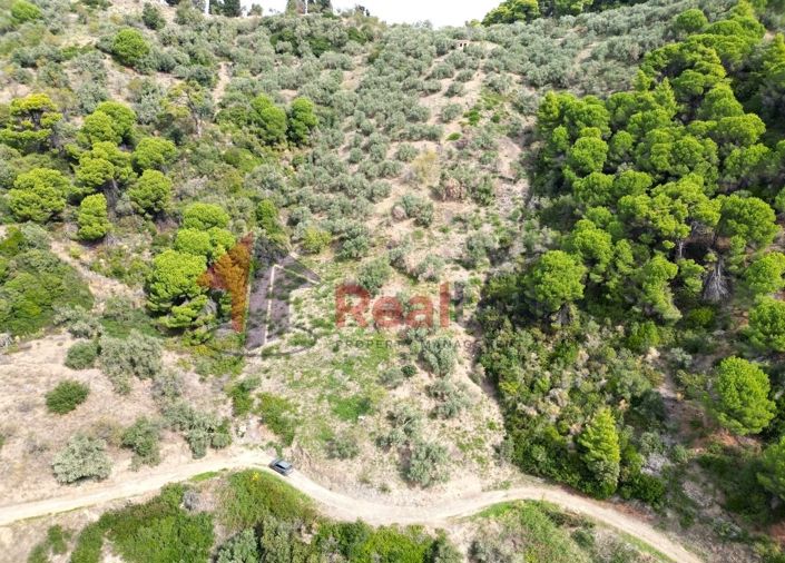 Image No.5-Propriété à vendre à Glossa