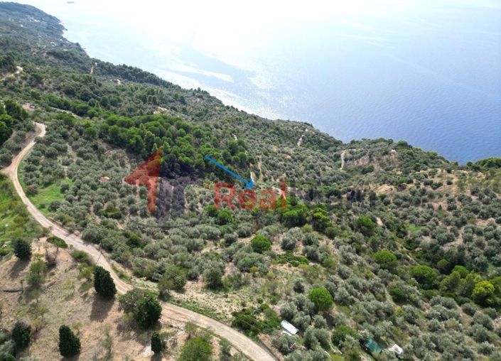 Image No.8-Propriété à vendre à Glossa