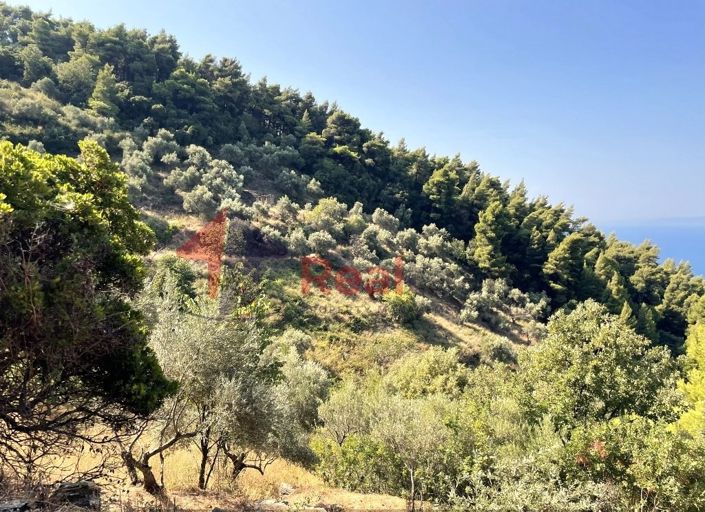 Image No.14-Property for sale