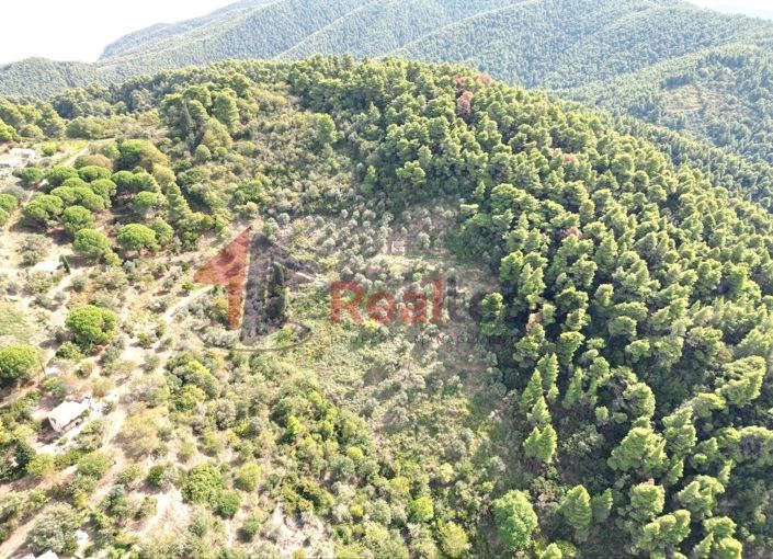 Image No.15-Property for sale