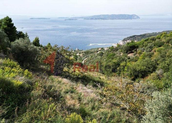 Image No.16-Property for sale