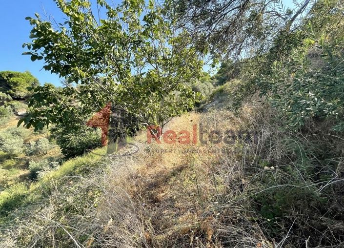 Image No.19-Property for sale