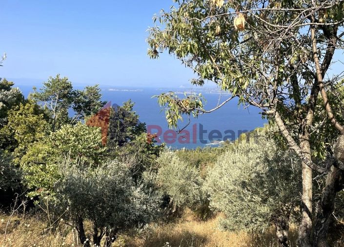 Image No.2-Property for sale