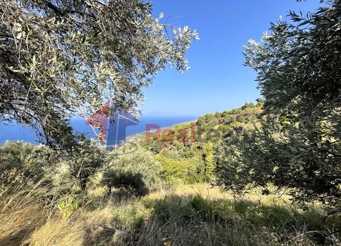 Image No.3-Property for sale