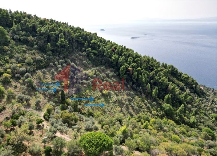 Image No.5-Property for sale