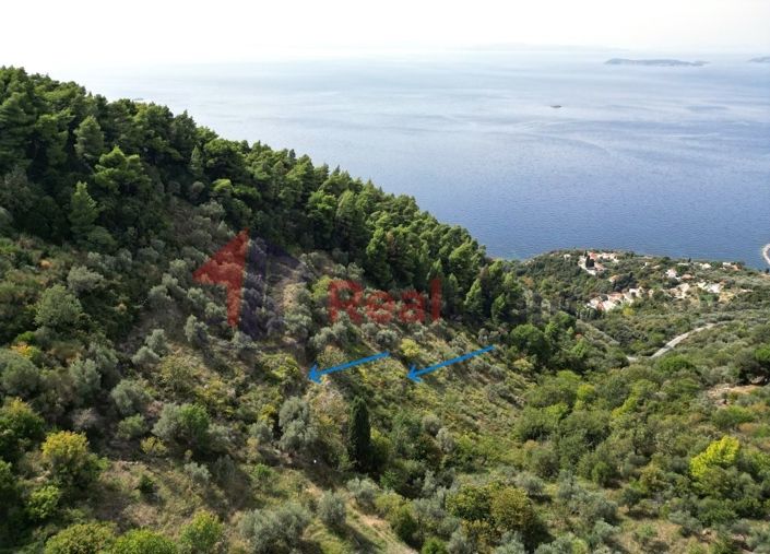 Image No.6-Property for sale