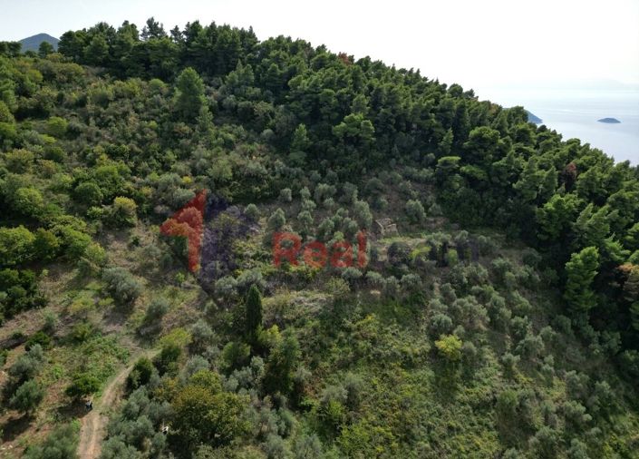 Image No.8-Property for sale