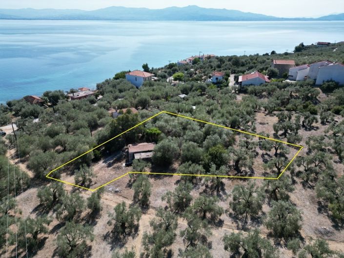 Image No.10-Propriété de 1 chambre à vendre à Pteleos