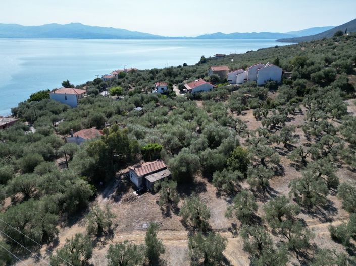 Image No.22-Propriété de 1 chambre à vendre à Pteleos