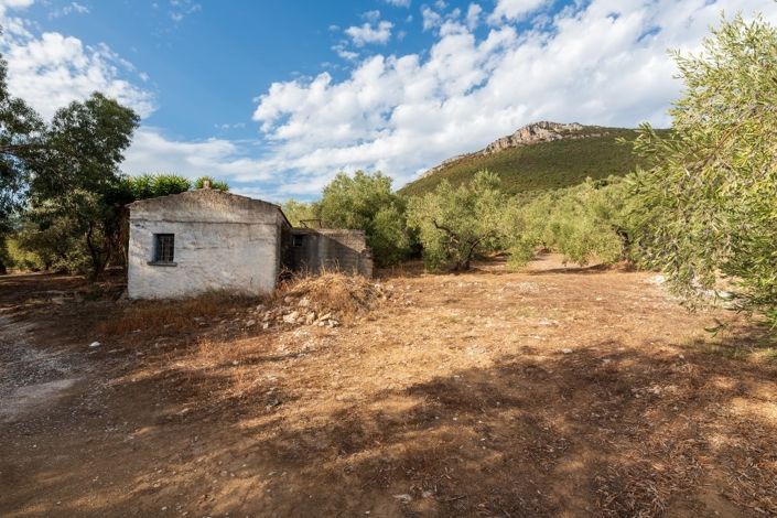 Image No.4-Propriété de 1 chambre à vendre à Pteleos