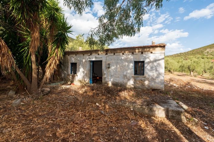 Image No.5-Propriété de 1 chambre à vendre à Pteleos