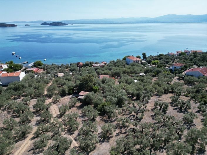 Image No.7-Propriété de 1 chambre à vendre à Pteleos