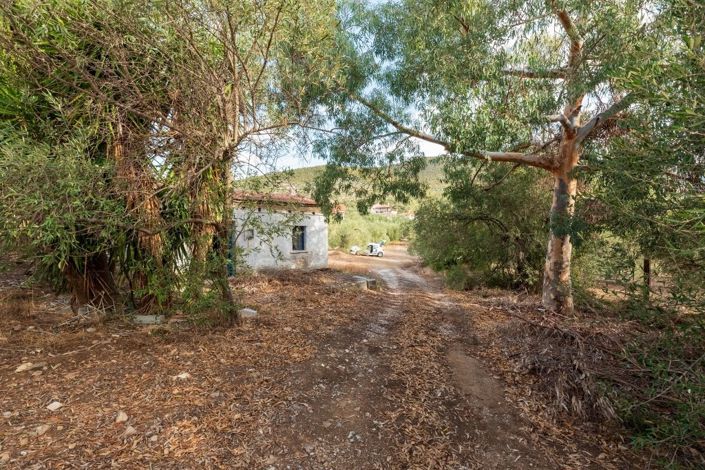 Image No.8-Propriété de 1 chambre à vendre à Pteleos