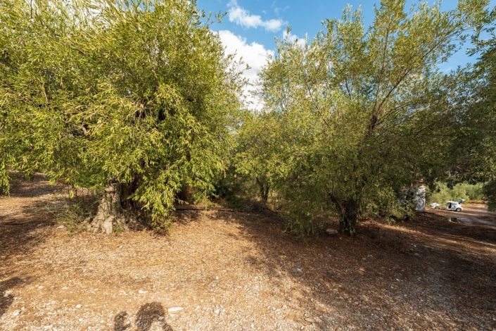 Image No.9-Propriété de 1 chambre à vendre à Pteleos