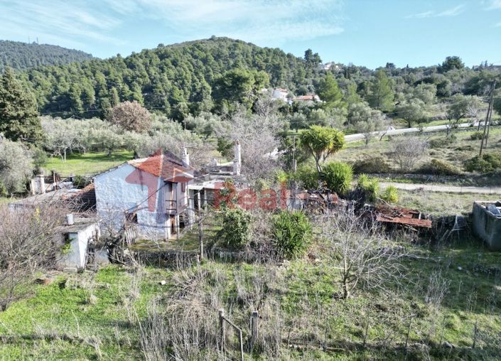 Image No.12-Property for sale