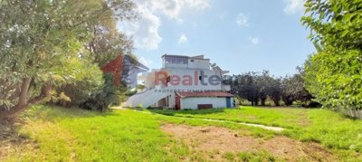 img3b4d3bb5-5fde-4795-83d0-1d0b9acb5d17