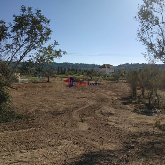 Image No.3-Property for sale