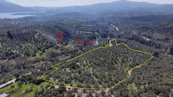 Image No.10-Property for sale