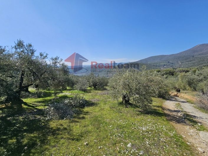 Image No.14-Property for sale