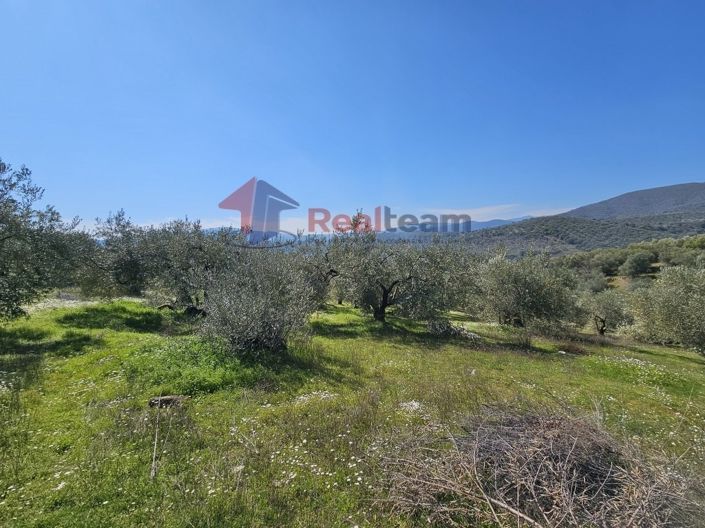 Image No.15-Property for sale